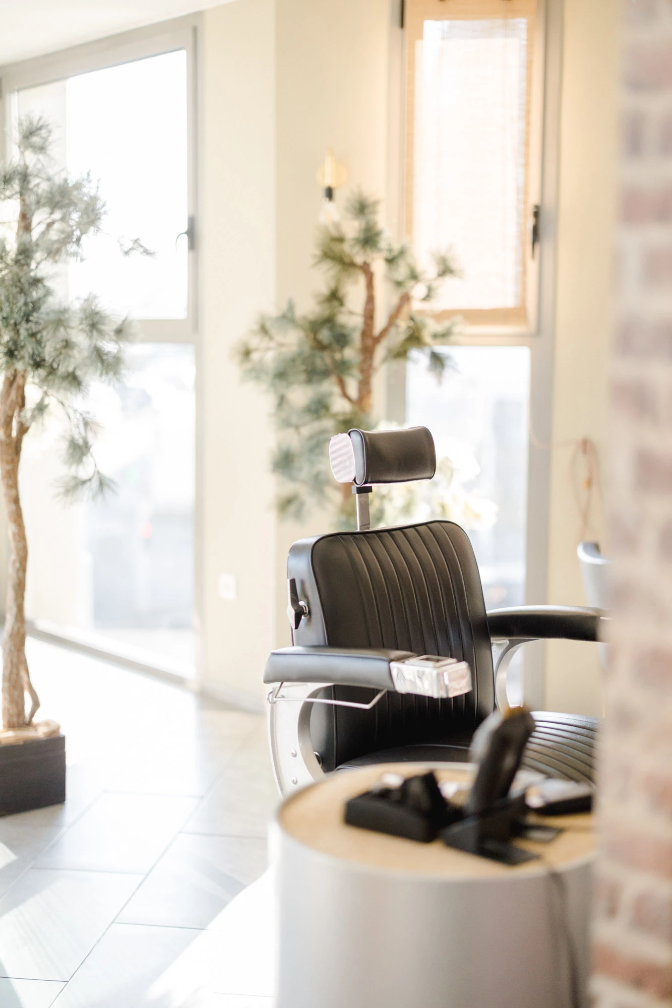 meubles chaise plante d'intérieur gris professionnel
